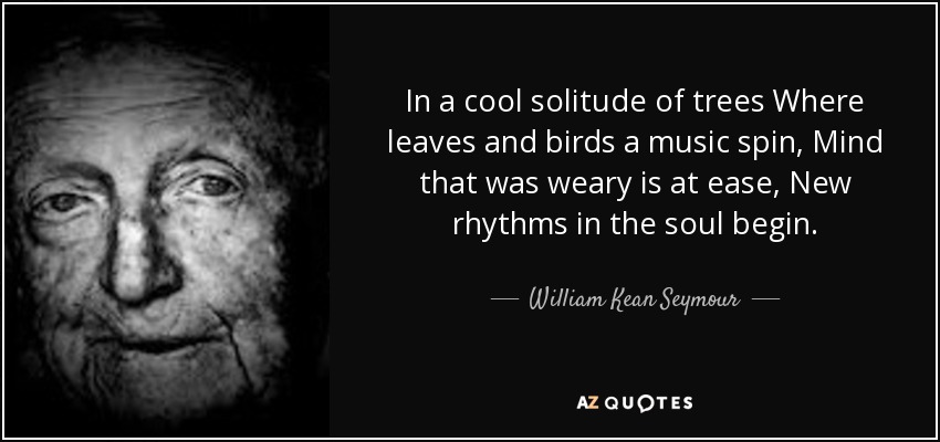 In a cool solitude of trees Where leaves and birds a music spin, Mind that was weary is at ease, New rhythms in the soul begin. - William Kean Seymour