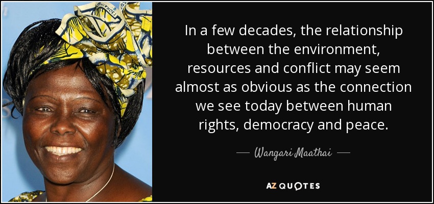 In a few decades, the relationship between the environment, resources and conflict may seem almost as obvious as the connection we see today between human rights, democracy and peace. - Wangari Maathai