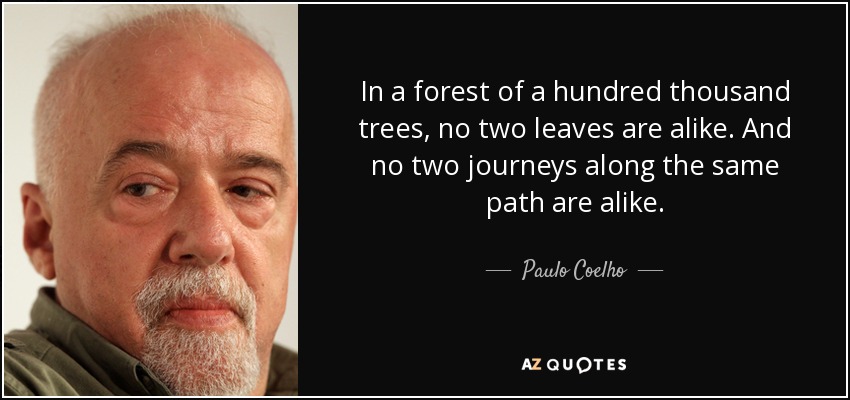 In a forest of a hundred thousand trees, no two leaves are alike. And no two journeys along the same path are alike. - Paulo Coelho