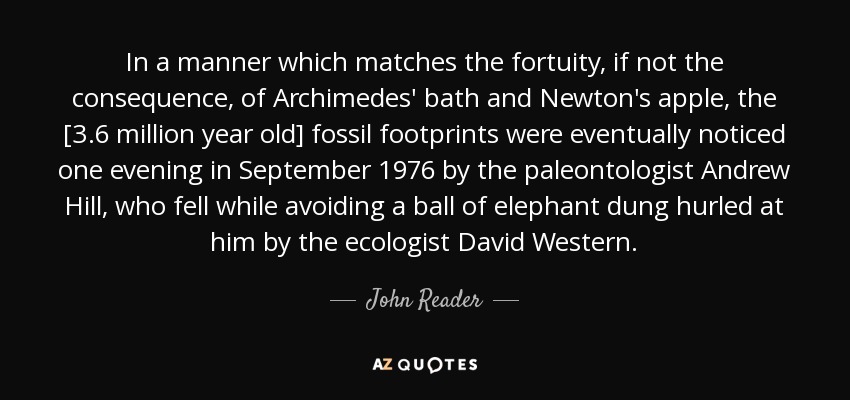 In a manner which matches the fortuity, if not the consequence, of Archimedes' bath and Newton's apple, the [3.6 million year old] fossil footprints were eventually noticed one evening in September 1976 by the paleontologist Andrew Hill, who fell while avoiding a ball of elephant dung hurled at him by the ecologist David Western. - John Reader