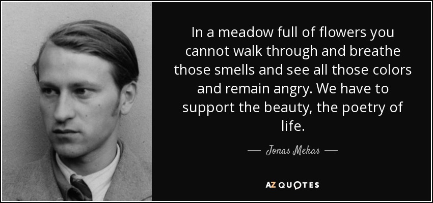 In a meadow full of flowers you cannot walk through and breathe those smells and see all those colors and remain angry. We have to support the beauty, the poetry of life. - Jonas Mekas