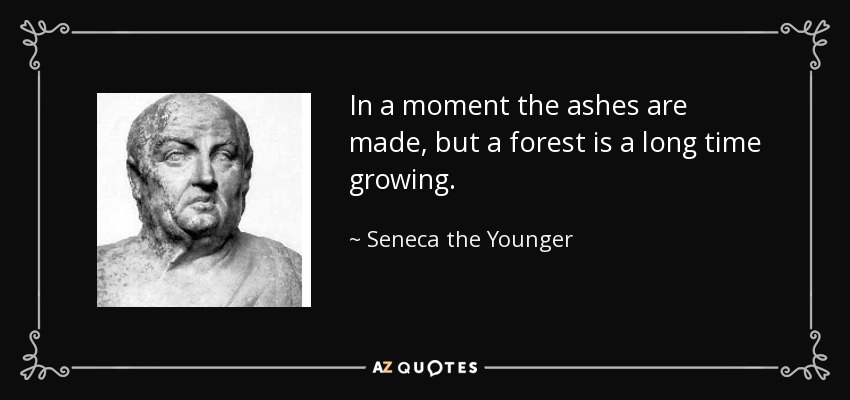 In a moment the ashes are made, but a forest is a long time growing. - Seneca the Younger