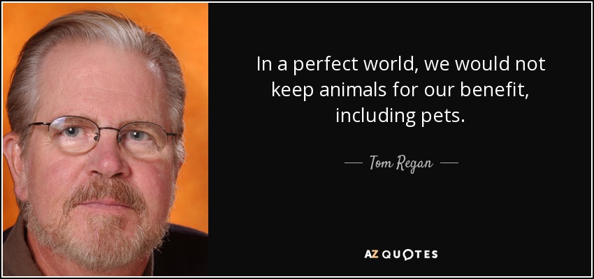 In a perfect world, we would not keep animals for our benefit, including pets. - Tom Regan