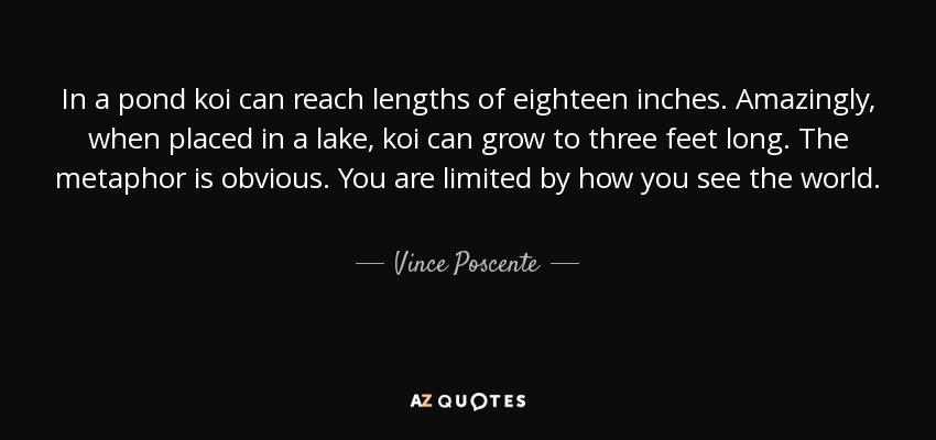 In a pond koi can reach lengths of eighteen inches. Amazingly, when placed in a lake, koi can grow to three feet long. The metaphor is obvious. You are limited by how you see the world. - Vince Poscente