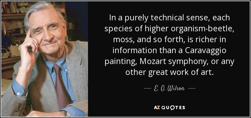 In a purely technical sense, each species of higher organism-beetle, moss, and so forth, is richer in information than a Caravaggio painting, Mozart symphony, or any other great work of art. - E. O. Wilson