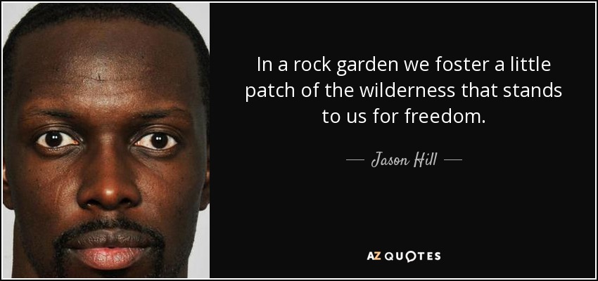In a rock garden we foster a little patch of the wilderness that stands to us for freedom. - Jason Hill