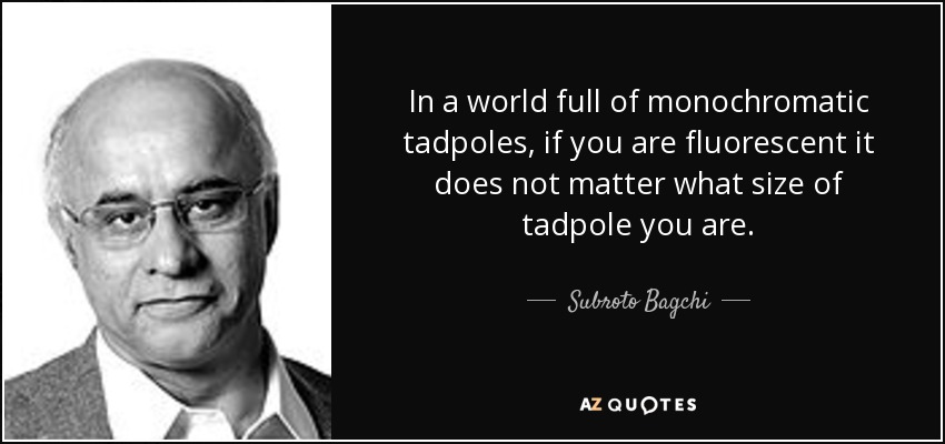 In a world full of monochromatic tadpoles, if you are fluorescent it does not matter what size of tadpole you are. - Subroto Bagchi