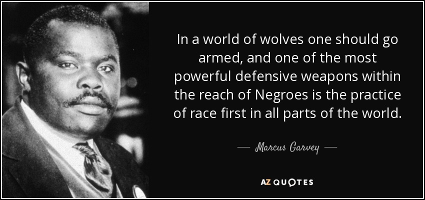 In a world of wolves one should go armed, and one of the most powerful defensive weapons within the reach of Negroes is the practice of race first in all parts of the world. - Marcus Garvey