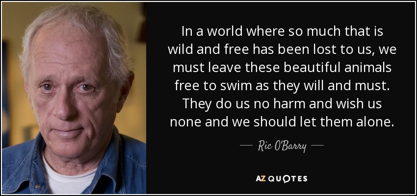 In a world where so much that is wild and free has been lost to us, we must leave these beautiful animals free to swim as they will and must. They do us no harm and wish us none and we should let them alone. - Ric O'Barry