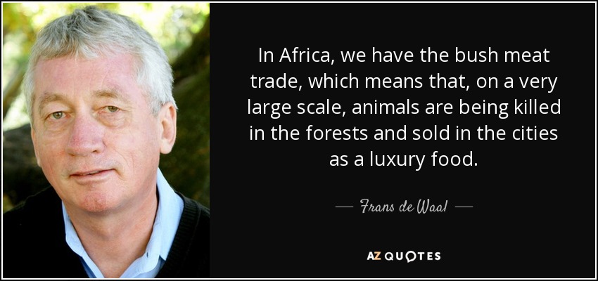 In Africa, we have the bush meat trade, which means that, on a very large scale, animals are being killed in the forests and sold in the cities as a luxury food. - Frans de Waal