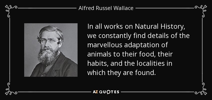 In all works on Natural History, we constantly find details of the marvellous adaptation of animals to their food, their habits, and the localities in which they are found. - Alfred Russel Wallace