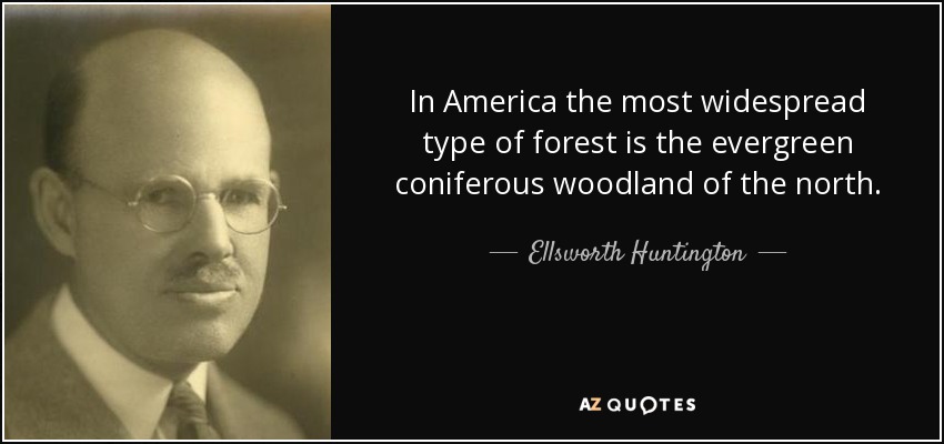In America the most widespread type of forest is the evergreen coniferous woodland of the north. - Ellsworth Huntington