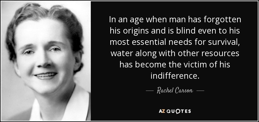 In an age when man has forgotten his origins and is blind even to his most essential needs for survival, water along with other resources has become the victim of his indifference. - Rachel Carson