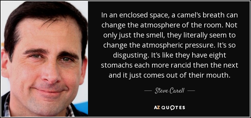In an enclosed space, a camel's breath can change the atmosphere of the room. Not only just the smell, they literally seem to change the atmospheric pressure. It's so disgusting. It's like they have eight stomachs each more rancid then the next and it just comes out of their mouth. - Steve Carell
