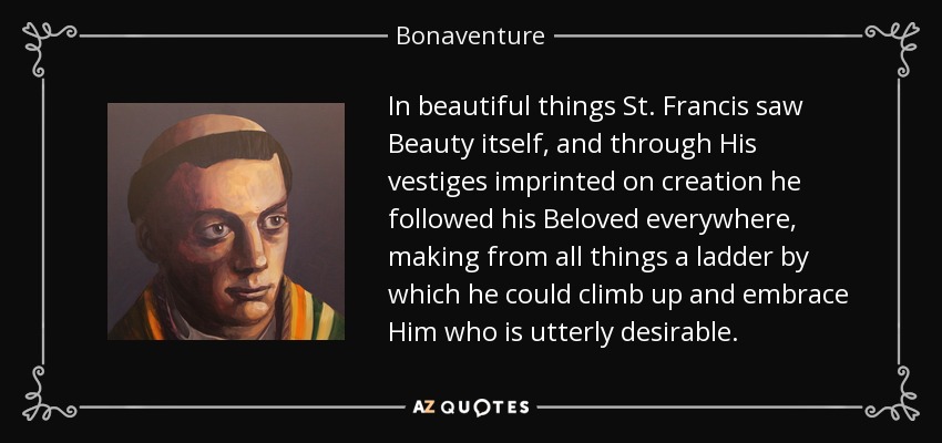 In beautiful things St. Francis saw Beauty itself, and through His vestiges imprinted on creation he followed his Beloved everywhere, making from all things a ladder by which he could climb up and embrace Him who is utterly desirable. - Bonaventure