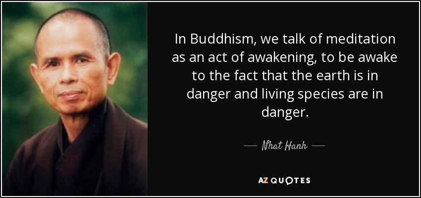 In Buddhism, we talk of meditation as an act of awakening, to be awake to the fact that the earth is in danger and living species are in danger. - Nhat Hanh