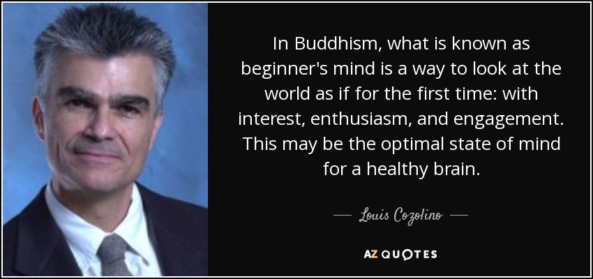 In Buddhism, what is known as beginner's mind is a way to look at the world as if for the first time: with interest, enthusiasm, and engagement. This may be the optimal state of mind for a healthy brain. - Louis Cozolino