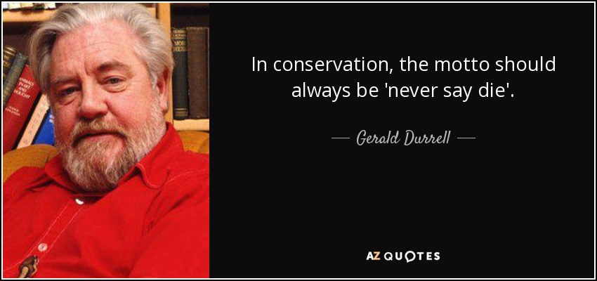 In conservation, the motto should always be 'never say die'. - Gerald Durrell