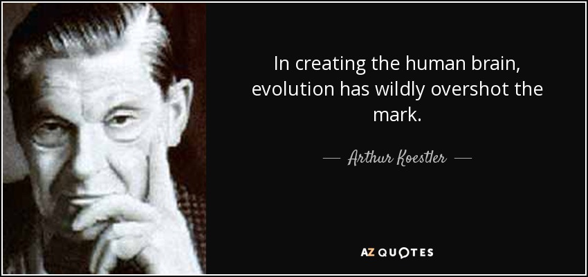 In creating the human brain, evolution has wildly overshot the mark. - Arthur Koestler