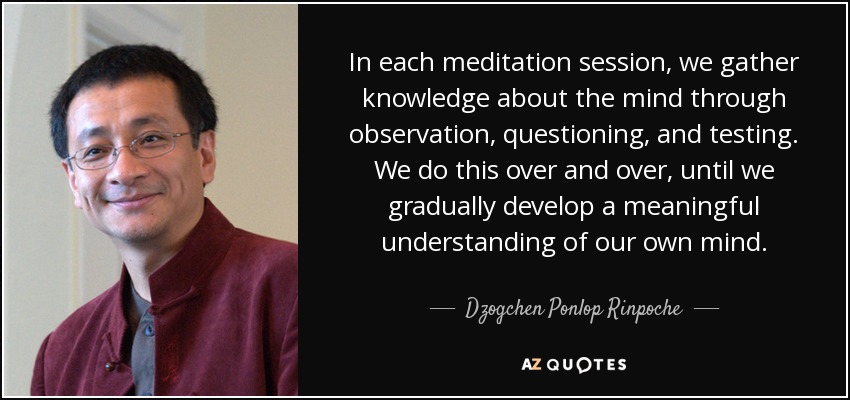 In each meditation session, we gather knowledge about the mind through observation, questioning, and testing. We do this over and over, until we gradually develop a meaningful understanding of our own mind. - Dzogchen Ponlop Rinpoche