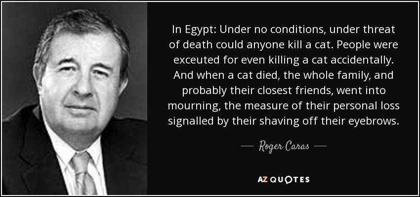 In Egypt: Under no conditions, under threat of death could anyone kill a cat. People were exceuted for even killing a cat accidentally. And when a cat died, the whole family, and probably their closest friends, went into mourning, the measure of their personal loss signalled by their shaving off their eyebrows. - Roger Caras