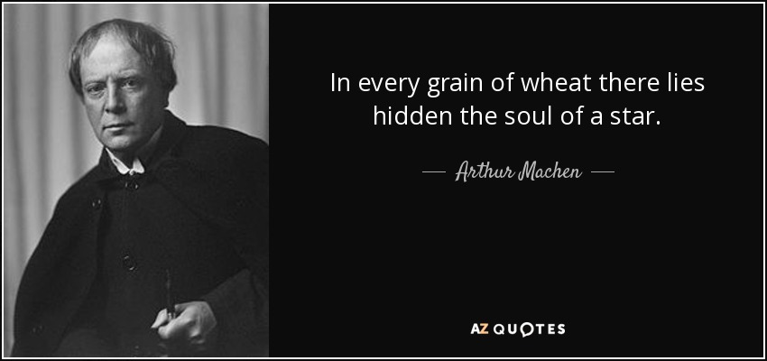 In every grain of wheat there lies hidden the soul of a star. - Arthur Machen