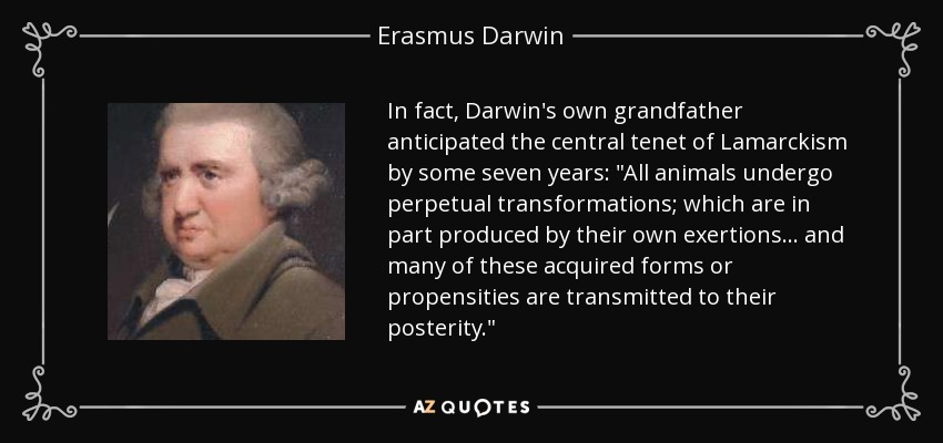 In fact, Darwin's own grandfather anticipated the central tenet of Lamarckism by some seven years: 