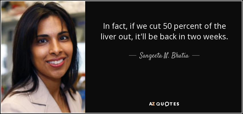 In fact, if we cut 50 percent of the liver out, it'll be back in two weeks. - Sangeeta N. Bhatia