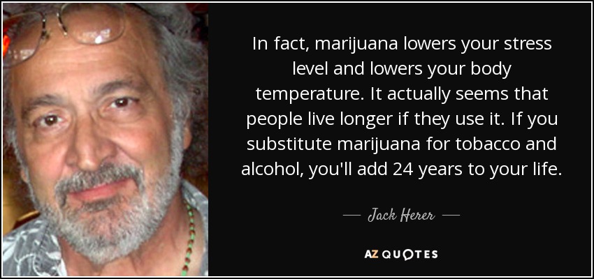 In fact, marijuana lowers your stress level and lowers your body temperature. It actually seems that people live longer if they use it. If you substitute marijuana for tobacco and alcohol, you'll add 24 years to your life. - Jack Herer