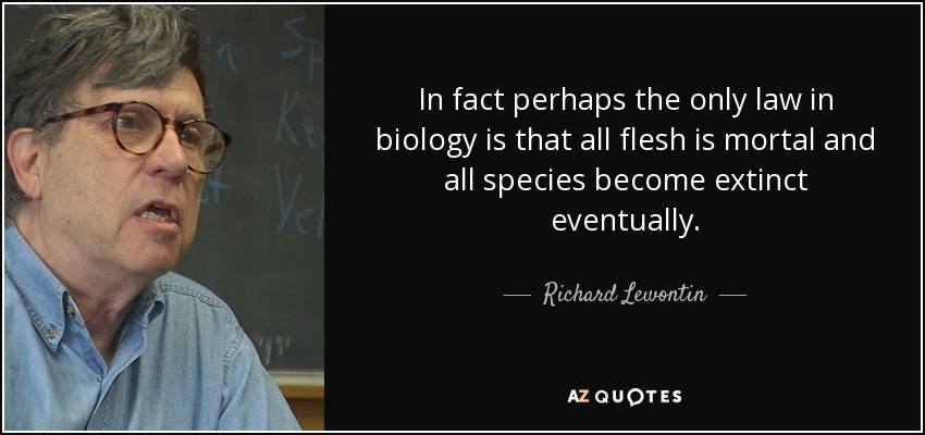 In fact perhaps the only law in biology is that all flesh is mortal and all species become extinct eventually. - Richard Lewontin