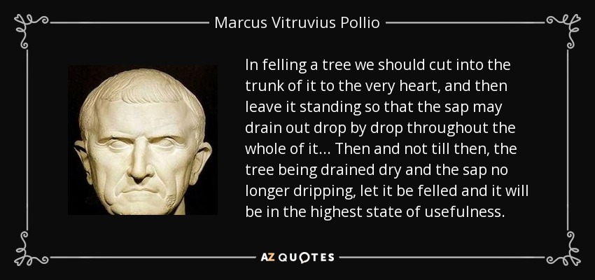 In felling a tree we should cut into the trunk of it to the very heart, and then leave it standing so that the sap may drain out drop by drop throughout the whole of it... Then and not till then, the tree being drained dry and the sap no longer dripping, let it be felled and it will be in the highest state of usefulness. - Marcus Vitruvius Pollio