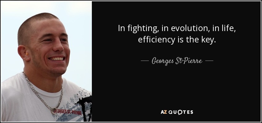 In fighting, in evolution, in life, efficiency is the key. - Georges St-Pierre