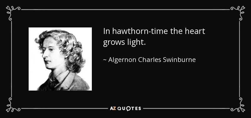 In hawthorn-time the heart grows light. - Algernon Charles Swinburne