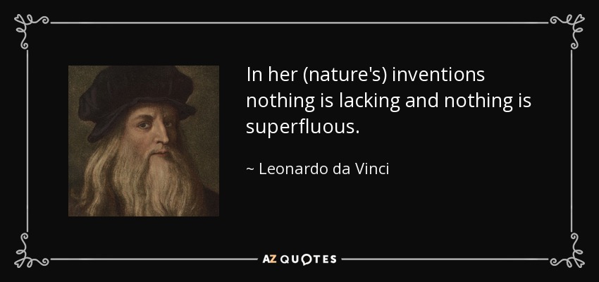 In her (nature's) inventions nothing is lacking and nothing is superfluous. - Leonardo da Vinci