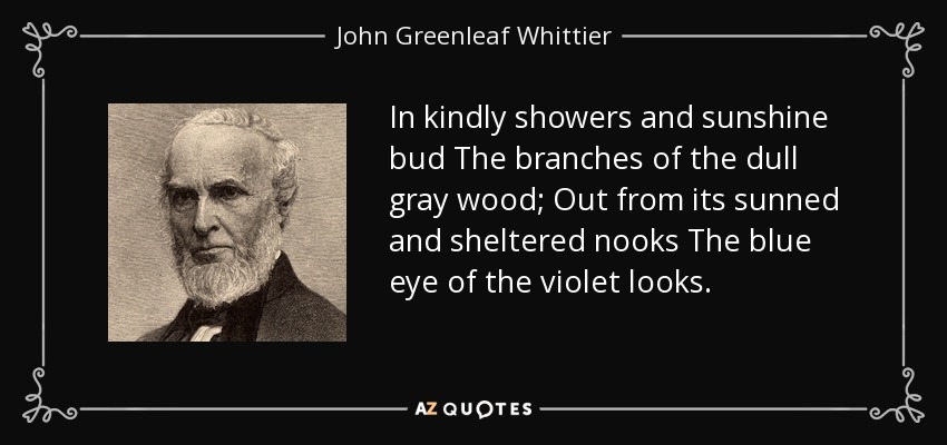 In kindly showers and sunshine bud The branches of the dull gray wood; Out from its sunned and sheltered nooks The blue eye of the violet looks. - John Greenleaf Whittier