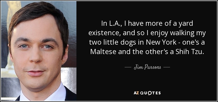 In L.A., I have more of a yard existence, and so I enjoy walking my two little dogs in New York - one's a Maltese and the other's a Shih Tzu. - Jim Parsons