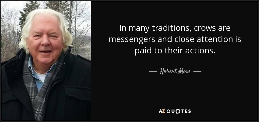 In many traditions, crows are messengers and close attention is paid to their actions. - Robert Moss