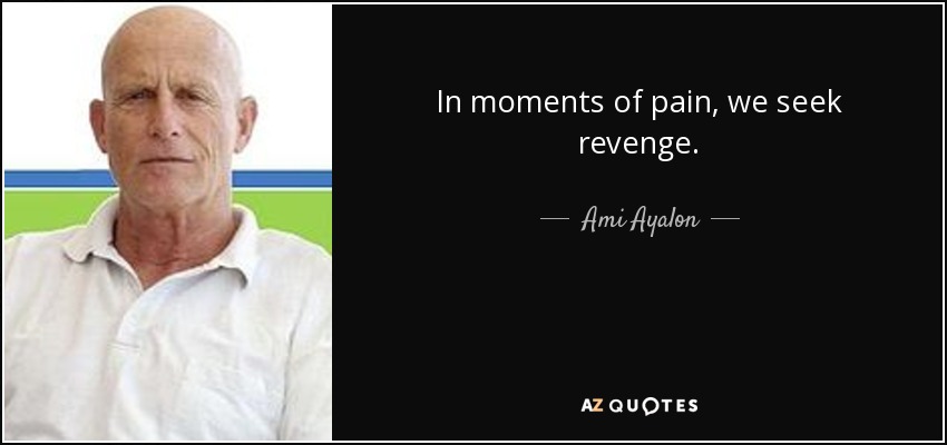 In moments of pain, we seek revenge. - Ami Ayalon