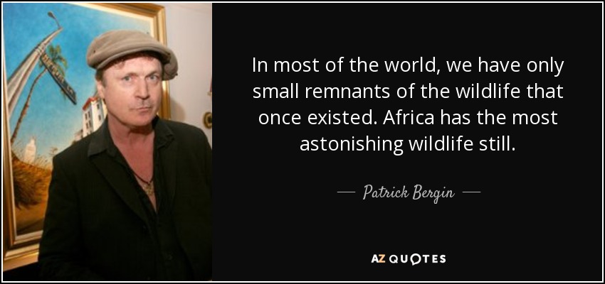 In most of the world, we have only small remnants of the wildlife that once existed. Africa has the most astonishing wildlife still. - Patrick Bergin