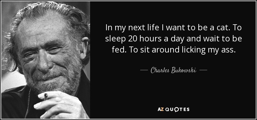 In my next life I want to be a cat. To sleep 20 hours a day and wait to be fed. To sit around licking my ass. - Charles Bukowski