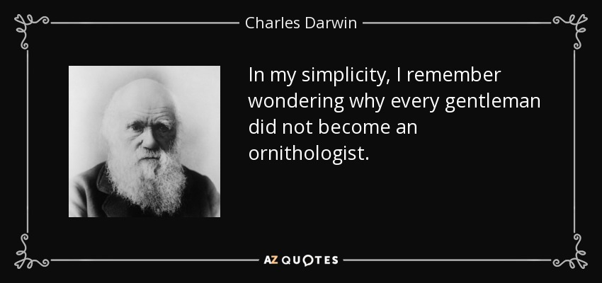 In my simplicity, I remember wondering why every gentleman did not become an ornithologist. - Charles Darwin