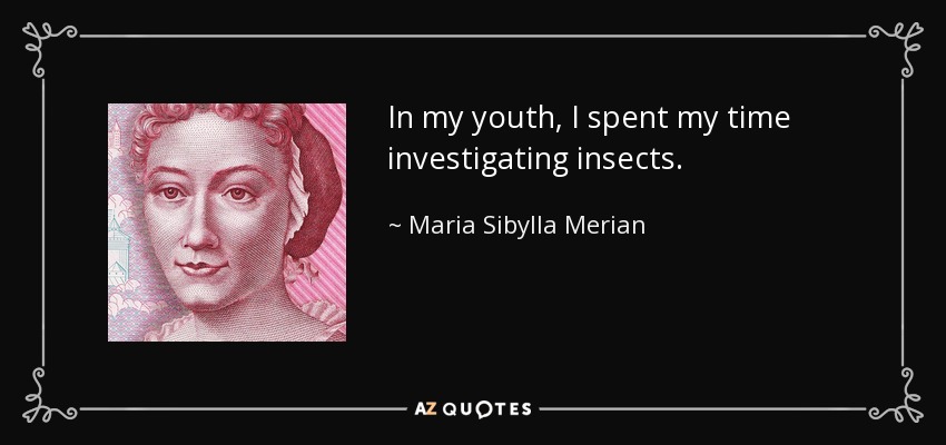 In my youth, I spent my time investigating insects. - Maria Sibylla Merian