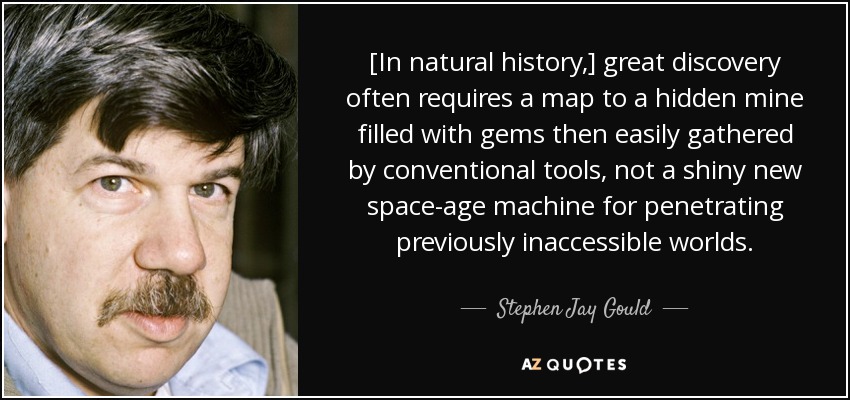 [In natural history,] great discovery often requires a map to a hidden mine filled with gems then easily gathered by conventional tools, not a shiny new space-age machine for penetrating previously inaccessible worlds. - Stephen Jay Gould