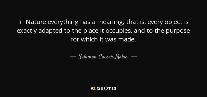 In Nature everything has a meaning; that is, every object is exactly adapted to the place it occupies, and to the purpose for which it was made. - Solomon Caesar Malan