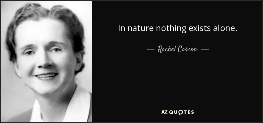 In nature nothing exists alone. - Rachel Carson