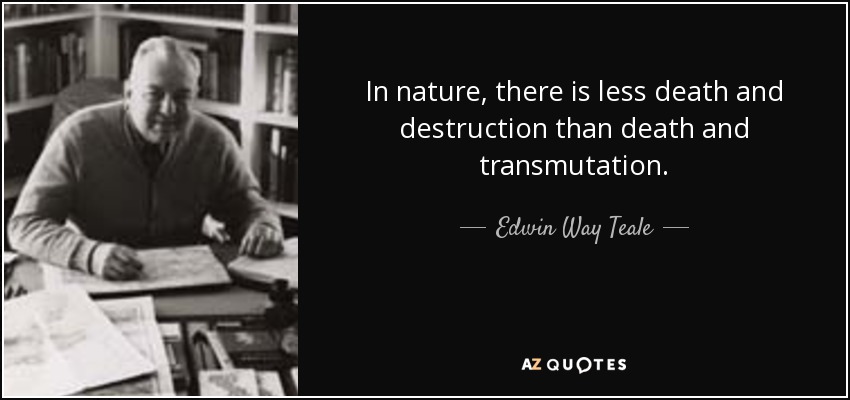 In nature, there is less death and destruction than death and transmutation. - Edwin Way Teale