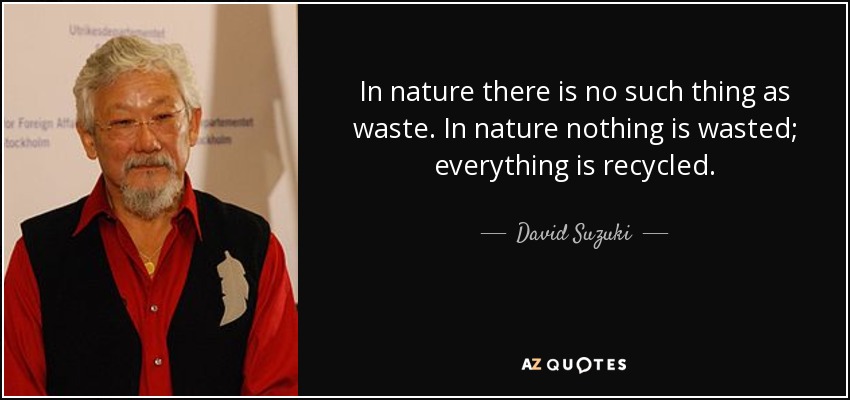 In nature there is no such thing as waste. In nature nothing is wasted; everything is recycled. - David Suzuki