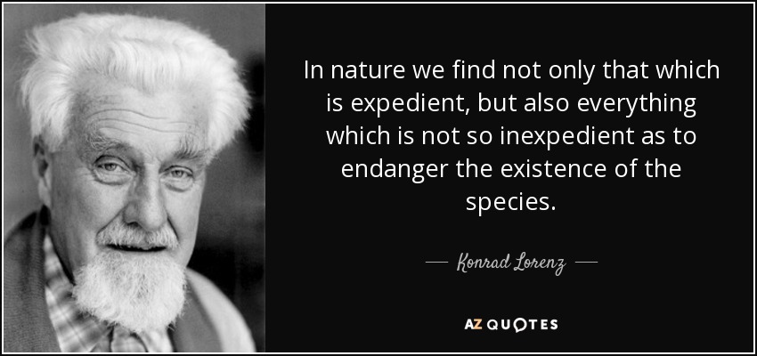 In nature we find not only that which is expedient, but also everything which is not so inexpedient as to endanger the existence of the species. - Konrad Lorenz