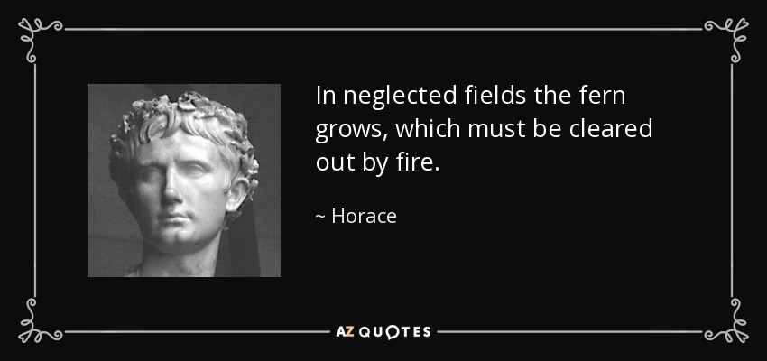 In neglected fields the fern grows, which must be cleared out by fire. - Horace