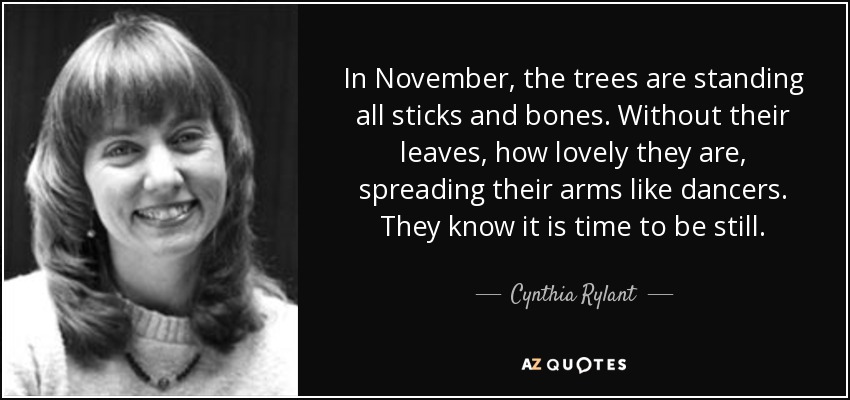 In November, the trees are standing all sticks and bones. Without their leaves, how lovely they are, spreading their arms like dancers. They know it is time to be still. - Cynthia Rylant